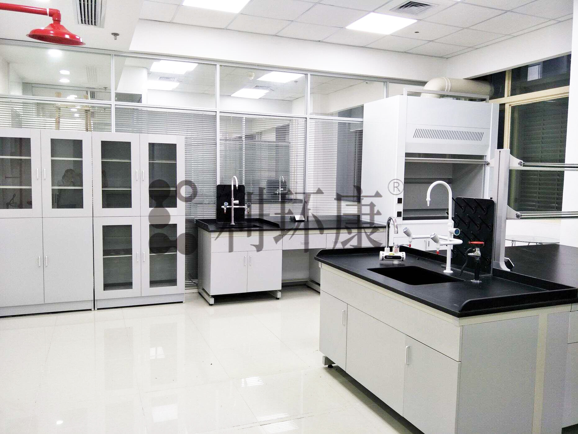 武汉中科水生生态环境股份有限公司（武钢）